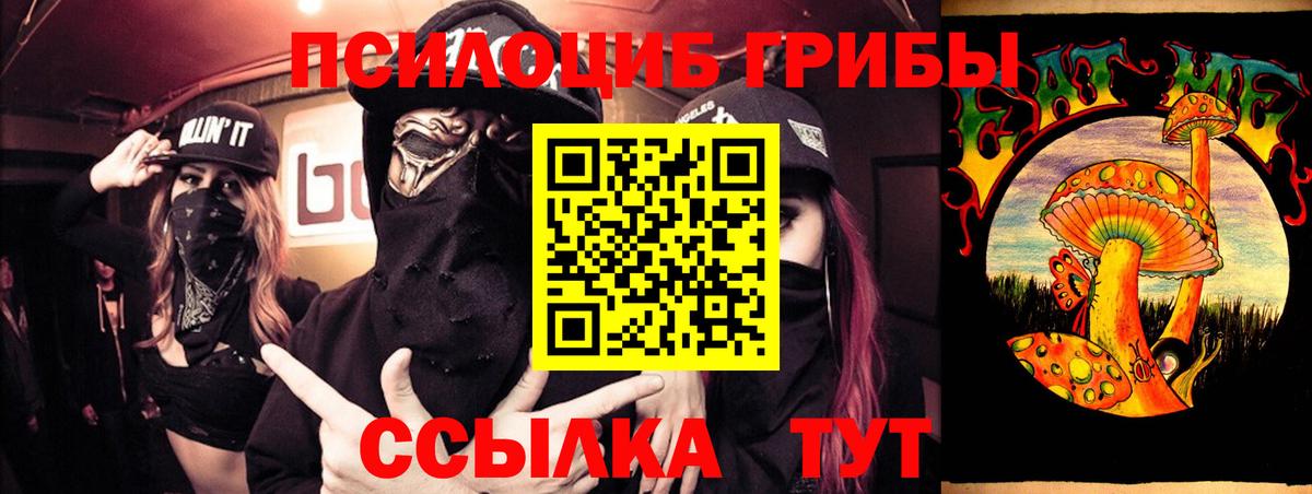 Псилоцибиновые грибы MAGIC MUSHROOMS Кизляр